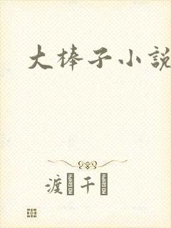 大棒子小说