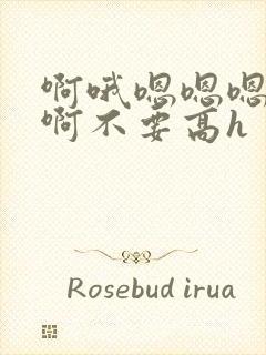 啊哦嗯嗯嗯嗯啊啊不要高h封面