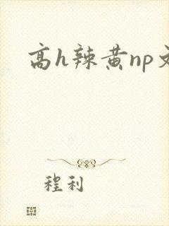 高h辣黄np文