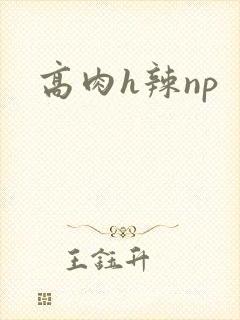 高肉h辣np