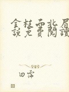 金枝面北眉南小说免费阅读封面