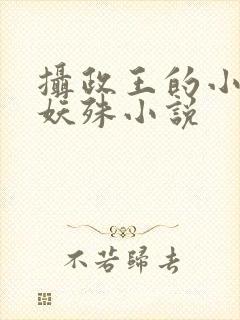 摄政王的小闲妻妖殊小说封面