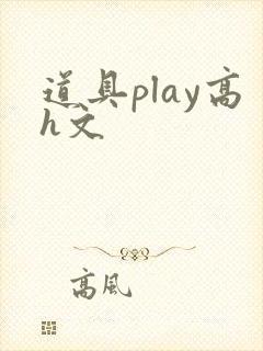 道具play高h文