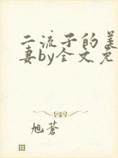 二流子的美貌娇妻by全文免费阅读小说封面