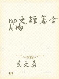 np文短篇合集h肉