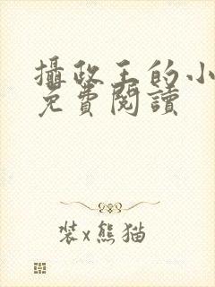 摄政王的小哑妻免费阅读