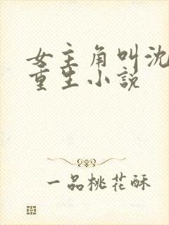 女主角叫沈晚的重生小说封面