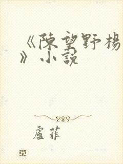 《陈望野杨雯月》小说