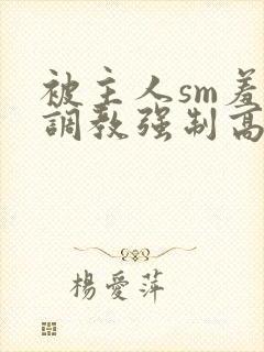 被主人sm羞辱调教强制高潮