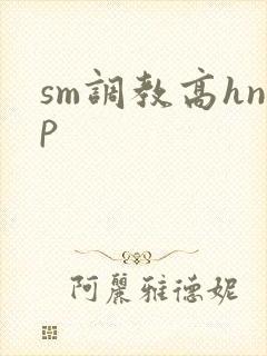 sm调教高hnp