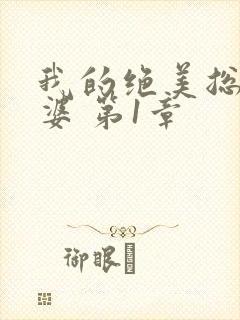 我的绝美总裁老婆 第1章封面