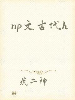 np文古代h封面