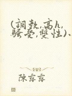 (调教,高h,骚受,双性)小说