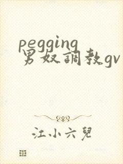 pegging男奴调教gv