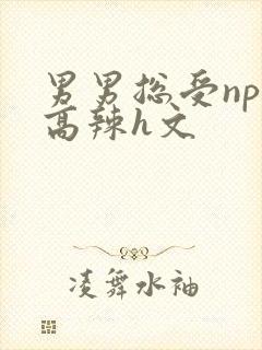 男男总受nph高辣h文