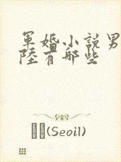 军婚小说男主姓陆有哪些