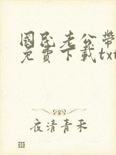 国民老公带回家免费下载txt封面