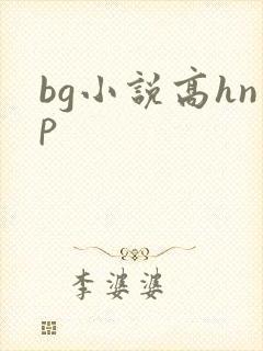 bg小说高hnp封面