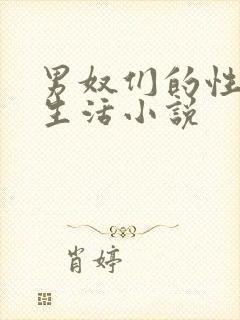 男奴们的性调教生活小说