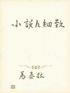 小说h细致