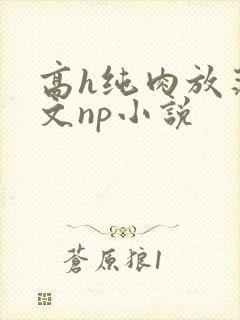 高h纯肉放荡h文np小说