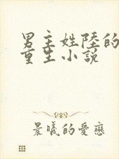 男主姓陆的军婚重生小说封面