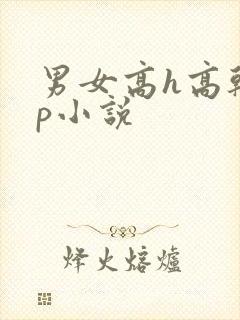 男女高h高干np小说