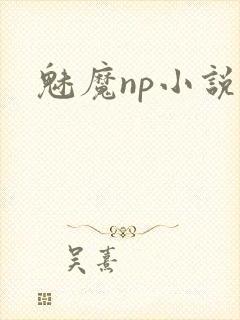 魅魔np小说
