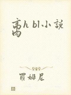高h bl小说肉封面