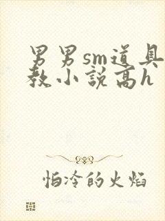 男男sm道具调教小说高h