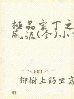 极品家丁之萧氏风流(全)小说