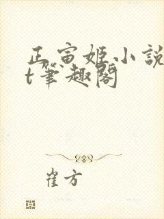 正寅姬小说txt笔趣阁