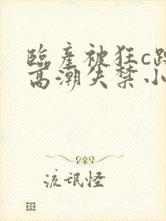 临产被狂c躁到高潮失禁小说