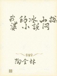 我的冰山总裁老婆 小说网