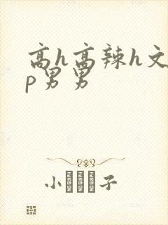高h高辣h文np男男