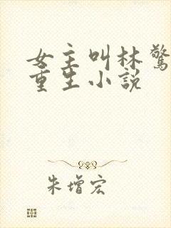 女主叫林惊澜的重生小说