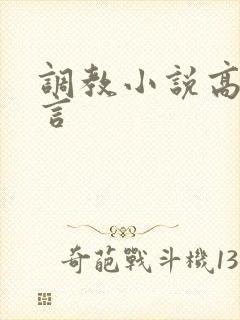 调教小说高h古言