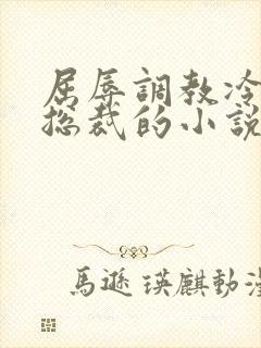 屈辱调教冷艳女总裁的小说