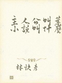 主人公叫叶枫的小说叫什么名字