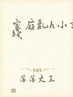 家庭乱h小说在线