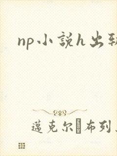 np小说h出轨