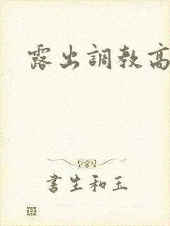 露出调教高h文