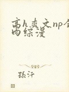 高h爽文np全肉综漫
