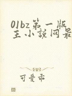 01bz第一版主小说网最新