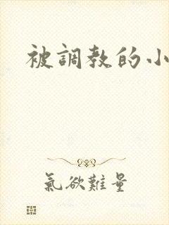 被调教的小伪娘封面