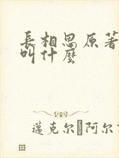 长相思原著小说叫什么