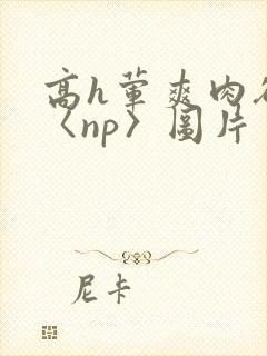 高h荤爽肉欲文〈np〉图片