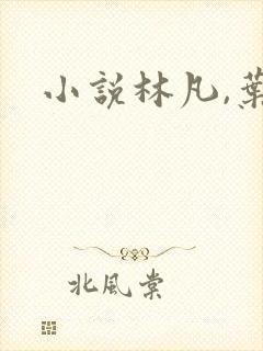 小说林凡,叶惜