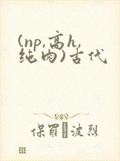 (np,高h,纯肉)古代封面
