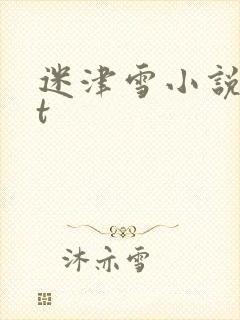 迷津雪小说txt
